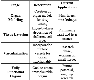 Stages in the Development of Bioprinted Organs.png