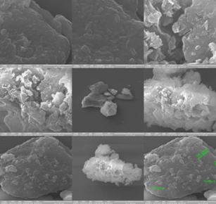 Fig No. 8 E –SEM testing of NEG4 Formulation.png