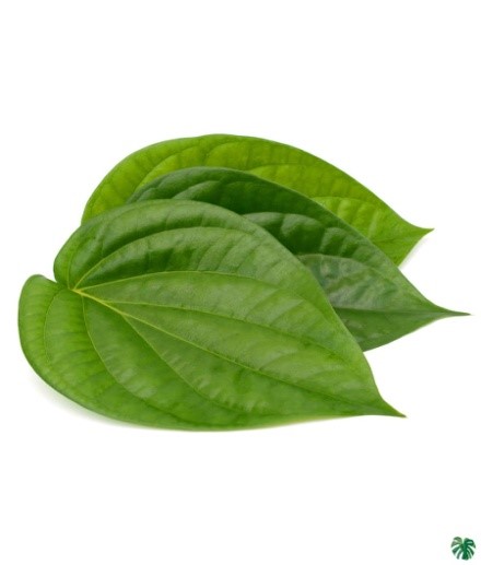 Betel Leaf.jpg